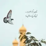 دانلود آهنگ اعتراف “هوش مصنوعی” از هایده و عرفان ابرا